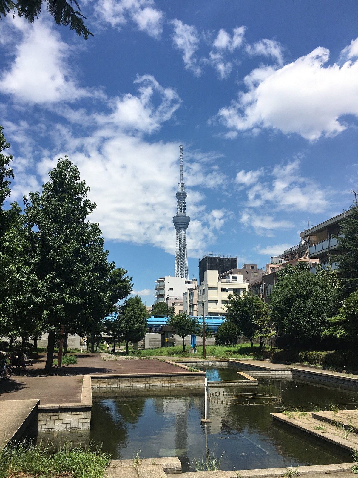 🌳 오요코가와 친수공원(오요코가와 신스이코엔) 이미지 5